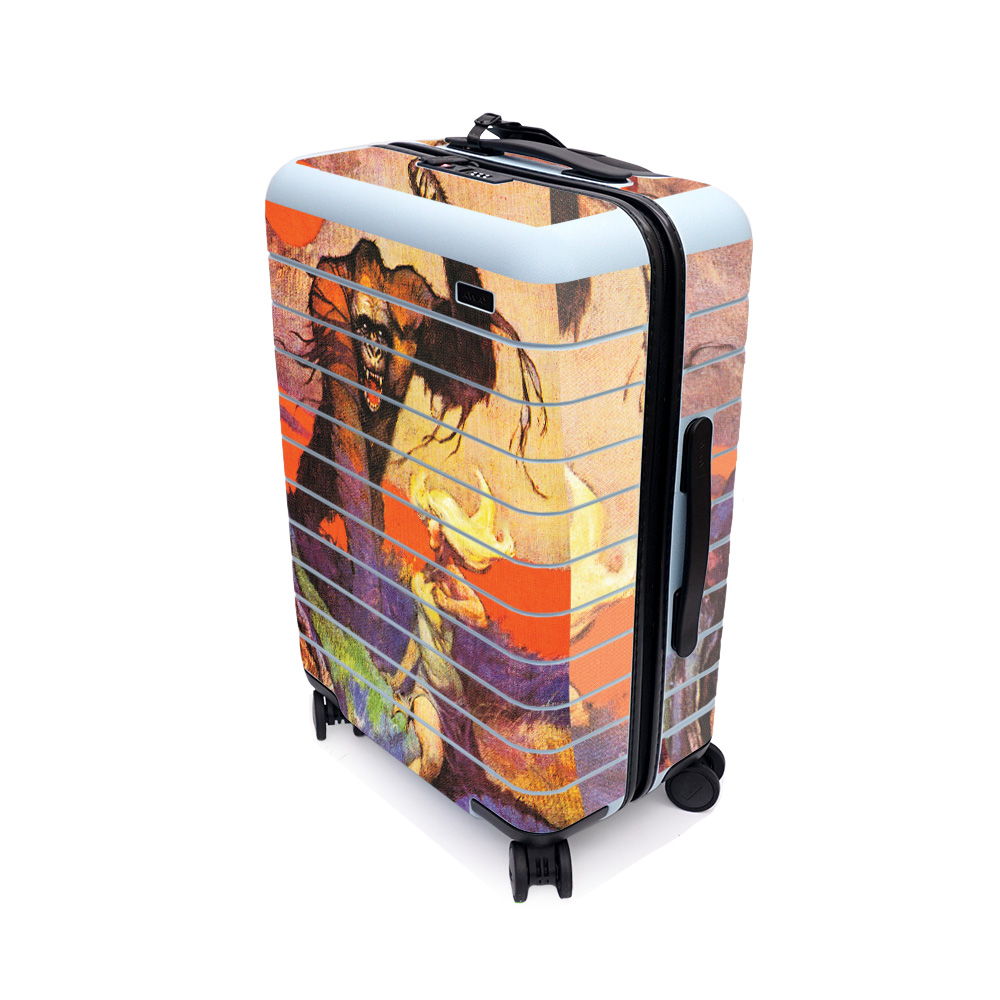 Dragons Collection of Skins For Away The Bigger CarryOn Suitcase