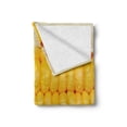 thumbnail image 2 of Health Soft Flannel Fleece Blanket, Corn Cob Stem with Raindrops Water Marks Mexican Vegetable Photo Artwork Image, Cozy Plush for Indoor and Outdoor Use, 50" x 70", Yellow and Cream, by Ambesonne, 2 of 6