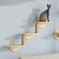 thumbnail image 4 of de Escalada Tipo Hamaca para Gatos, de Escalada Tipo Escalera, de Escalada Pequeño de Madera Maciza para Gatos, Dos, 4 of 6