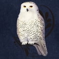 thumbnail image 3 of CafePress - Snowy Owl - Pullover Hoodie, Classic & Comfortable Hooded Sweatshirt, 3 of 4