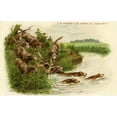 thumbnail image 2 of Otter Hunting Poster Print By Mary Evans Picture Librarypeter & Dawn Cope Collection (36 X 24), 2 of 4