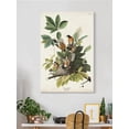 thumbnail image 2 of American Robin Iii Wrapped Canvas -John James Audubon Designs,, 2 of 3