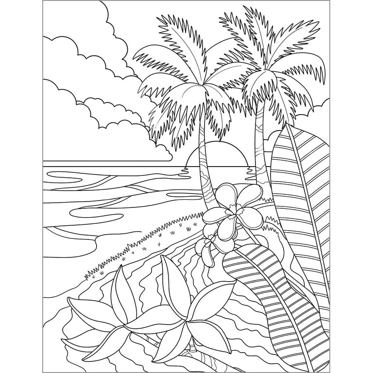 Adult Coloring Books in Coloring Books 