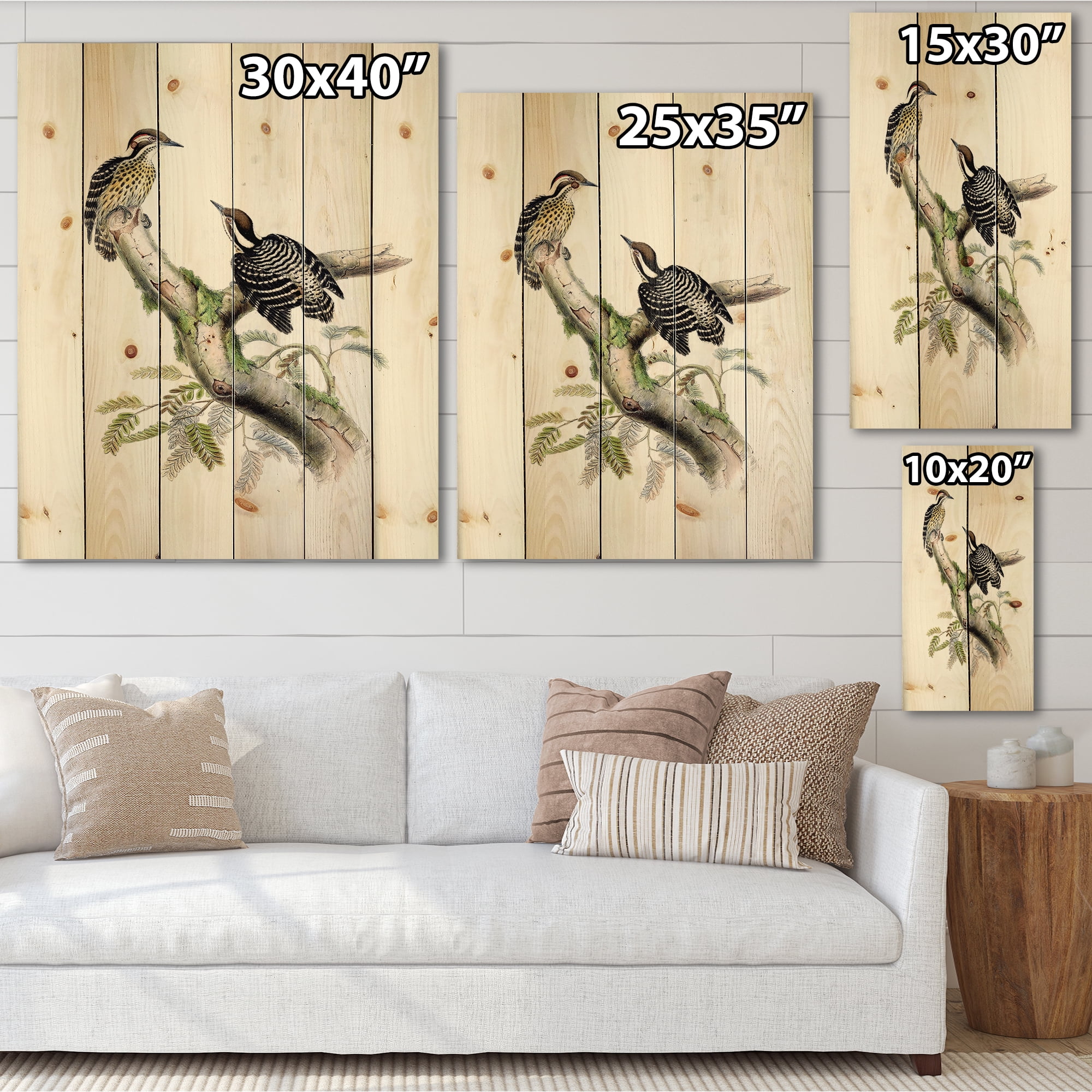 Designart 'Ancient Birds In The Wild VIII' Traditional Print on Natural Pine Wood