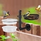thumbnail image 1 of Comedero para Pájaros Urban Deco para Pared con Bandeja y 2 Recipientes de Agua, 1 of 7