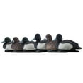 thumbnail image 2 of Avian X Topflight Blue Bills Duck Decoys Bundled with Canvasbacks Decoys, 2 of 11