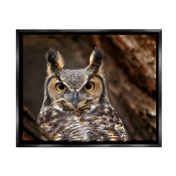 Stupell Industries Horned Owl Nature Photography Animals & Insects Photography Black Floater Framed Art Print Wall Art