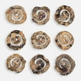 thumbnail image 2 of Uttermost Corkscrew Wood Wall Decor in Natural (Set of 9), 2 of 5