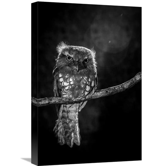 Global Gallery Wilianto,'Alone In The Night' Stretched Canvas Artwork