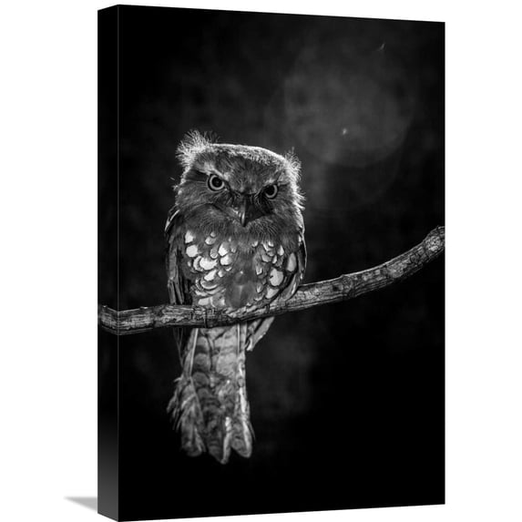 Global Gallery Wilianto,'Alone In The Night' Stretched Canvas Artwork
