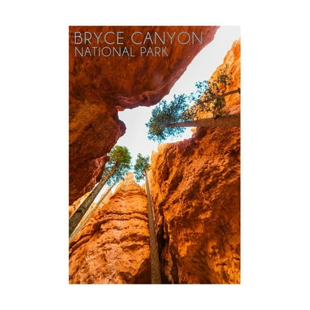 Bryce Canyon National Park, Utah - Navajo Loop Trail Print Wall Art By Lantern (Best Trails In Bryce Canyon)