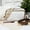 WhIte, variant on Small Crossbody Bags for Women PU Leather Travel Daily Bags With 2 Shoulder Strap Purse Zipper bag