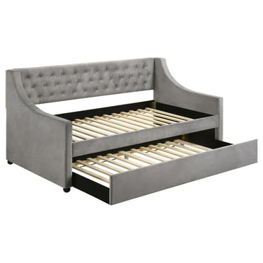 Coaster Chatsboro Modern Velvet Upholstered Twin Daybed with Trundle in Gray