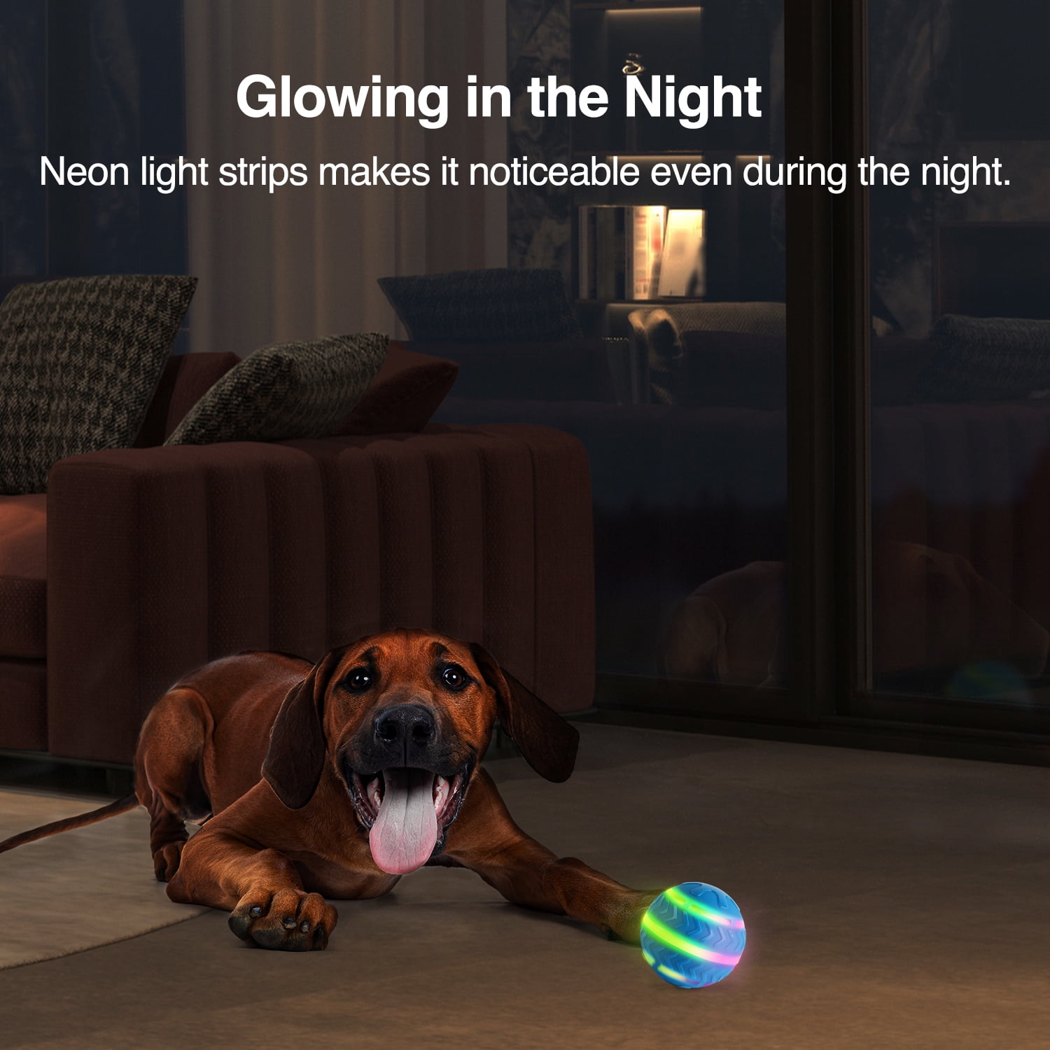 All for Paws Interactive Moving Ball Toy for Dogs, Motion Activated LED Bouncing Dog Ball Toy, USB Rechargeable