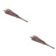 thumbnail image 2 of Ramo Seco de Flores Secas Naturales Injueey 15 Piezas, 2 of 6