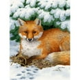 thumbnail image 1 of Carolines Treasures ASA2043GF Fox Flag Garden Size, 1 of 3