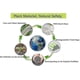thumbnail image 5 of 100 organic waste bags, Tear Resistant, Food Waste Bags, 100% Compostable And Biodegradable5 rolls, 20 pieces per roll, 5 of 5