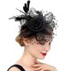thumbnail image 2 of Diadema con cintas de malla de flores para mujer, sombrero para cóctel, fiesta de té, tocado, pinza para el pelo Fridja nalpqowj2066, 2 of 3