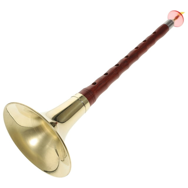MasteelfCA 1 Set Chinese Rosewood Suona for Beginners Professional F Key Wind Instrument Random Color