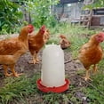 thumbnail image 4 of API HPW33 Abreuvoir Chauffant pour Volaille 3 Gallons Réservoir d'Eau Potable, 4 of 10