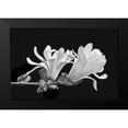 thumbnail image 2 of Schell, Jennie Marie 24x17 Black Modern Framed Museum Art Print Titled - Star Magnolia Flowers Black and White, 2 of 5