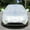B, variant on BotaniNest Car Cover Against Hail Car Hail Cover Protector Hail Blanket For Cars Hail Cover For Car Thicken Hail Cover Windshield Hail Protector Car Hail Protector Hail Proof Car Cover