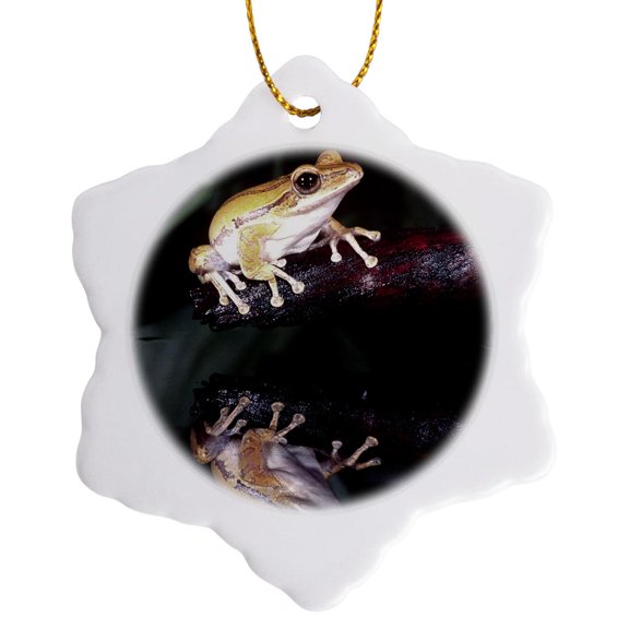 3drose, Golden Glidiing Frog, Native to Phillipines - Na02 Dno0043 - David Northcott, 3 inch Snowflake Porcelain Ornament