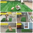 thumbnail image 4 of Dog Grass Pee Pads, Artificial Dog Training Grass Pads for Potty Tray, Fake Grass Tuf for Dogs to Pee On, Indoor Pee Grass for Dog Potty, Reusable Realistic Grass for Dogs (2 Pack), 4 of 8