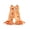 Orange, variant on BemeyourBBs Toddler Baby Girls Halloween Outfit Baby Girl Summer Fall Clothes Plaid Gingham Romper Overalls Pumpkin Ghost Embroidery Sleeveless Ruffle Bow Flare Pants Bell Bottom Jumpsuit