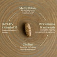 thumbnail image 6 of New Chapter One Daily Prenatal Multivitamin 30 Veg Tabs, 6 of 11