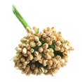 thumbnail image 4 of Estambre de flores pistilo 2xA Manojo de 12 Piezas de Pistilo de Estambre de Flores Artificiales para Casarse 8.5 Cm de Oro, 4 of 9