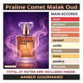 thumbnail image 3 of Seamless Hold Praline Comet Malak Oud Sweet Patchouli Chocolate Vanilla Perfume for Women Parfum | Inspired Luxury Fragrance | Long-Lasting Scent - 1 oz (30 ml), 3 of 5
