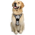 thumbnail image 1 of rabbitgoo No-Pull Pet Harness with 2 Leash Clips  Adjustable Soft Padded  Reflective No-Choke Pet Oxford Vest with Easy Control Handle for Large Dogs  Pink  L, 1 of 9