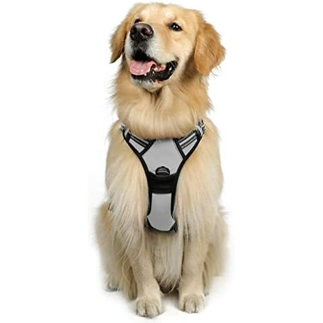 rabbitgoo Dog Harness No-Pull Pet Harness with 2 Leash Clips Adjustable Soft Padded Dog Vest Reflective No-Choke Pet Oxford Vest with Easy Control Handle for Large Dogs Orange L