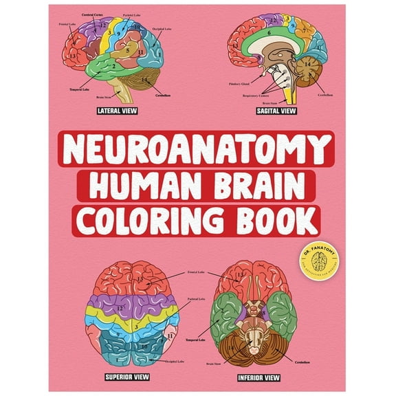 Neuroanatomy Human Brain Coloring Book: Neuroscience Coloring Book with MCQs ( Multiple Choice Questions) A Gift for Med, (Paperback)