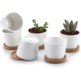 thumbnail image 1 of Maceta suculenta de cerámica blanca de 6,5 cm con bandeja de bambú, juego de 6, macetero para plantas de cactus, maceta, contenedor, regalo para cumpleaños, bodas, 1 of 8