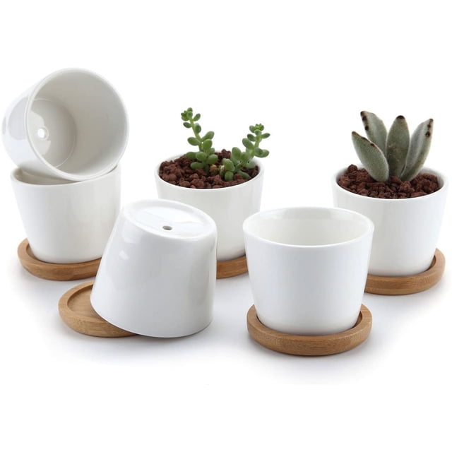 Maceta suculenta de cerámica blanca de 6,5 cm con bandeja de bambú, juego de 6, macetero para plantas de cactus, maceta, contenedor, regalo para cumpleaños, bodas