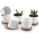 thumbnail image 1 of Maceta suculenta de cerámica blanca de 6,5 cm con bandeja de bambú, juego de 6, macetero para plantas de cactus, maceta, contenedor, regalo para cumpleaños, bodas, 1 of 8