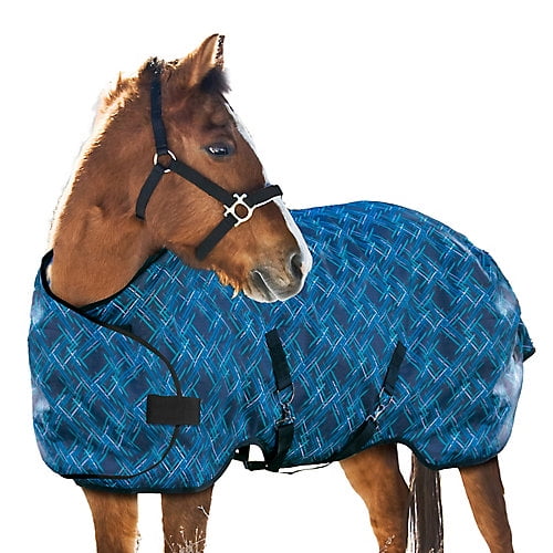 Kensington Signature Weanling Turnout Atlantis