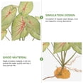 thumbnail image 3 of unbranded Planta Decorativa De Plástico Para Pecera Con Detalles Detallados Y Aspecto Natural Y Vibrante, 3 of 6