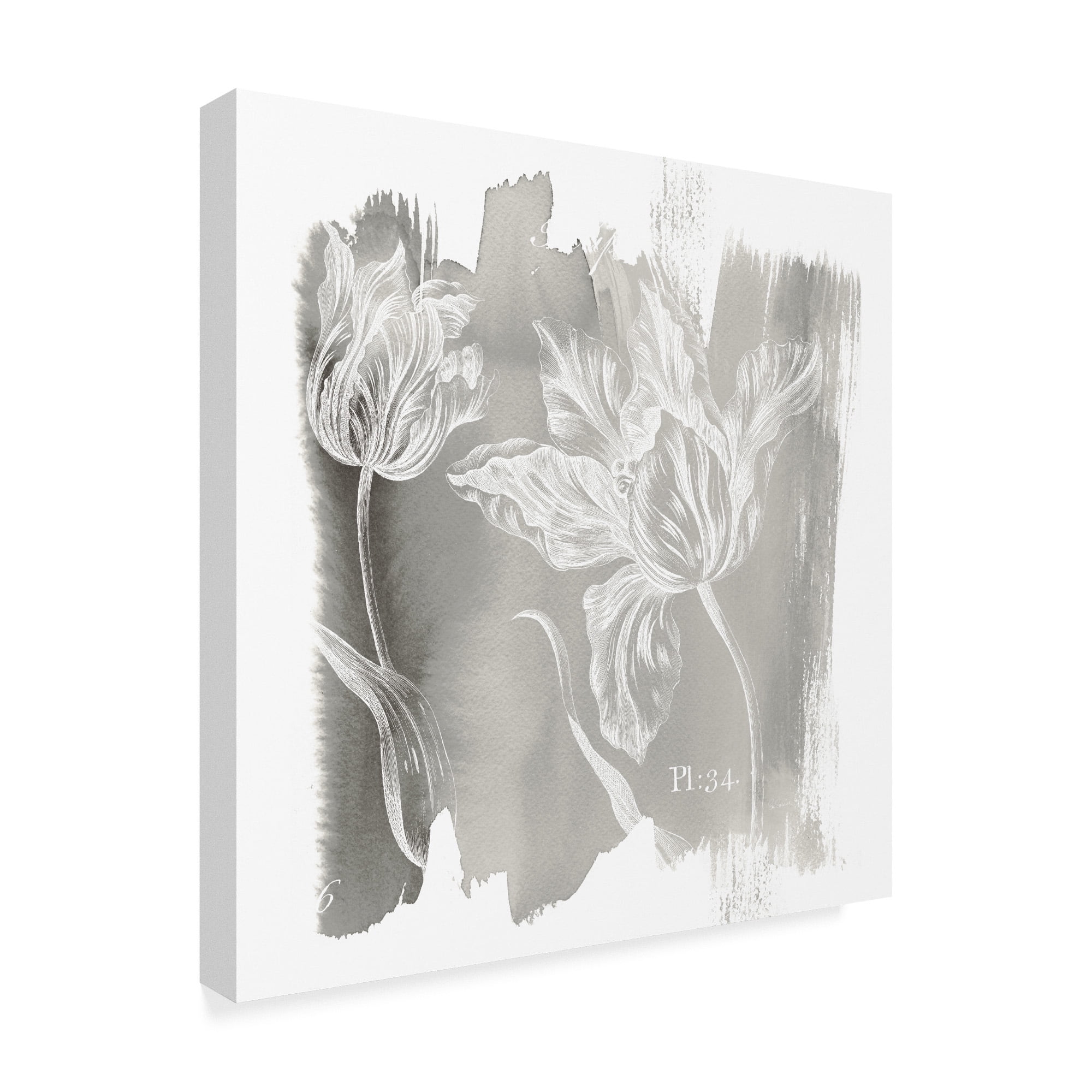 Trademark Fine Art 'Water Wash I Neutral' Canvas Art by Sue Schlabach