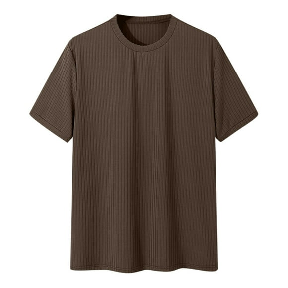 LUOGENLI Male T-shirts for Mens Men's Muscle T Shirts Stretch Short Sleeve Bodybuilding Workout Tee Shirts Ribbed Knit Shirt Vintage T-shirts for Men Graphic Tee Easter Brown XL