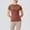 Brown, variant on Rezuofi 1 Pcs Women's Crewneck Slim Fitted Short Sleeve T-Shirt Stretchy Bodycon Basic Tee Tops