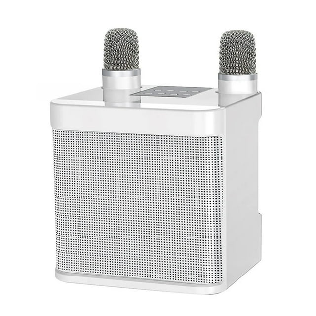 Machine With Dual Microphones Chan Voice Functions Portable Speaker Studio Subwoofer AUX TF Card U Disk Player ,Clear and Reliable