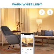 Wiz Smart Wi-Fi Connected LED 60-Watt A19 General Purpose Light Bulb, Frosted Soft White, Dimmable, E26 Medium Base (1-Pack)