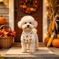 thumbnail image 7 of Thanksgiving Day Dog Vest, Pet Cat Fall Sleeveless Shirts with Pumpkin Turkey Autumn Leaves Owl Patterns, Dog Thanksgiving Vest Tank Tops, Outfit for Small Medium Dogs (Yellow, M), 7 of 7