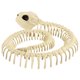 thumbnail image 1 of Réplica de esqueleto de serpiente realista para decoración de Halloween, juguete educativo, 15 pulgadas de largo, 1 of 5