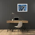 thumbnail image 3 of LaMontagne, Patrick 18x15 White Modern Wood Framed Museum Art Print Titled - Ring Tailed Lemur, 3 of 4