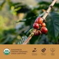 thumbnail image 5 of GRANA Keurig K-Cup Coffee Pods, Medium Roast , Organic, 100% Arabica, 24 Caps, 5 of 8