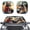 Beach Horses Print, variant on Pzuqiu Windshield Sun Shade with Horse Sunflower, Car Sun Shade for Automotive Sun Protection, Blocks Glare and Heat